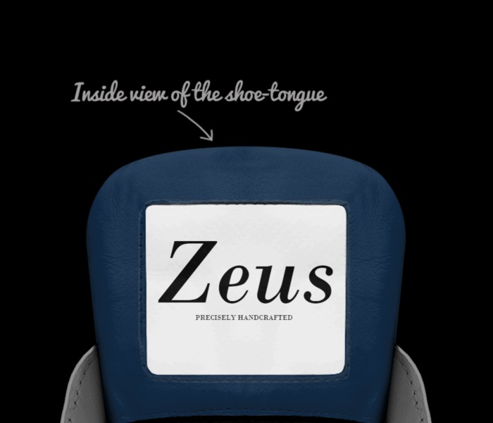Zeus X2 | A Custom Shoe concept by Roberto Cendejas