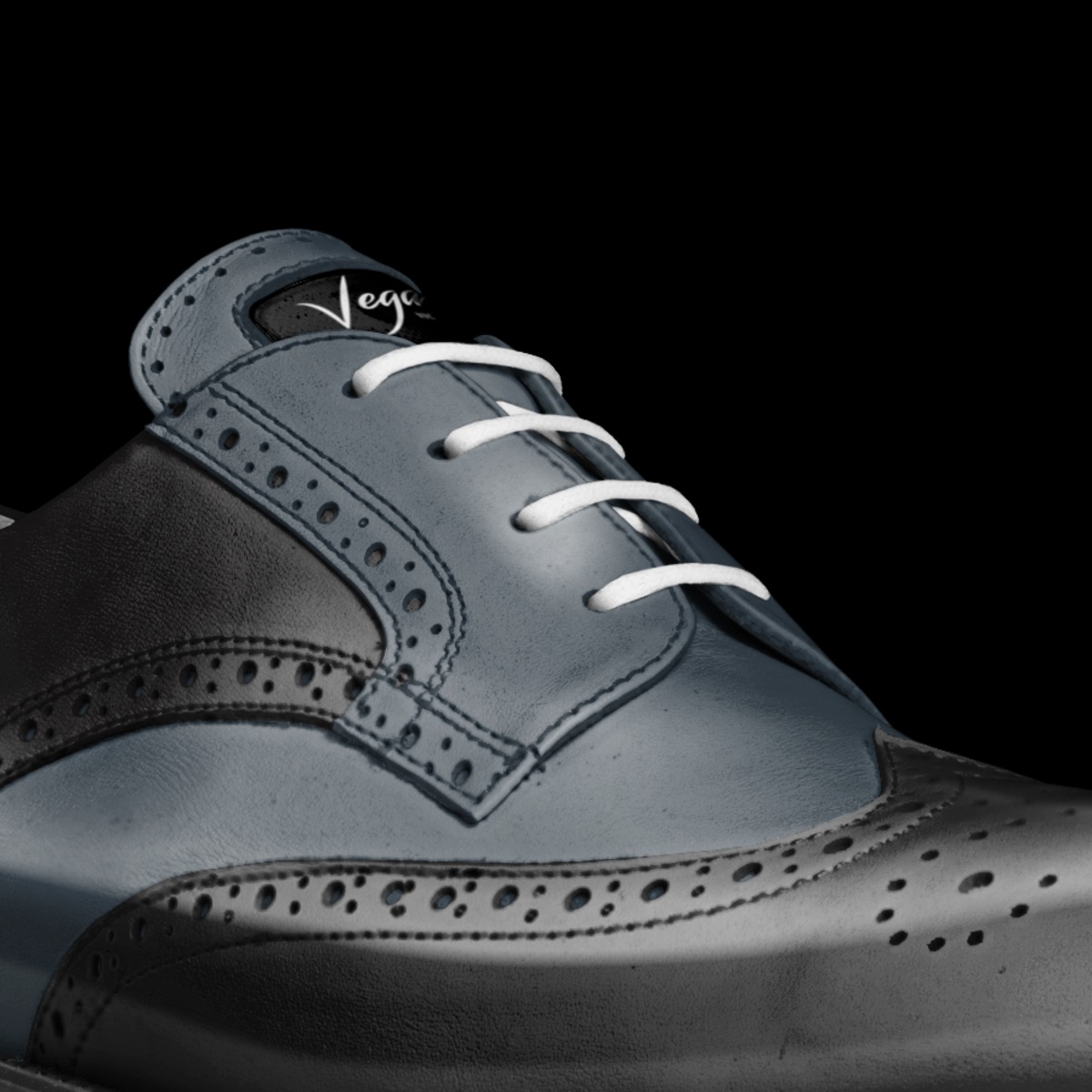 Aristo 1 A Custom Shoe concept by Vega Nyc