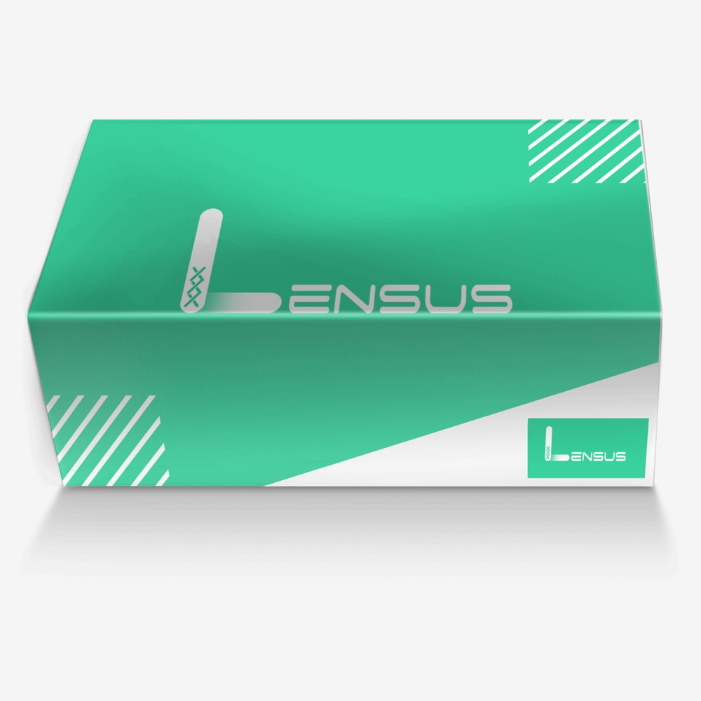 Lensus One custom made in Italy shoes by Afta Bintang | Box view