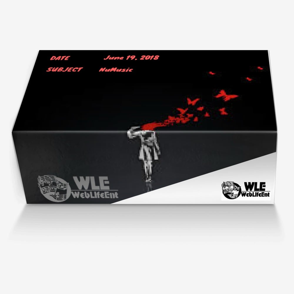 NuNu custom made in Italy shoes by Noah Woodruff | Box view