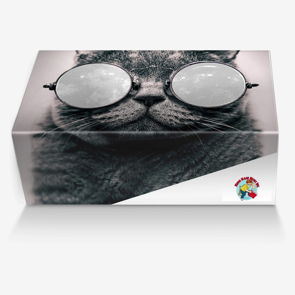 Nerd Prismatic custom made in Italy shoes by Steve Wollett | Box view