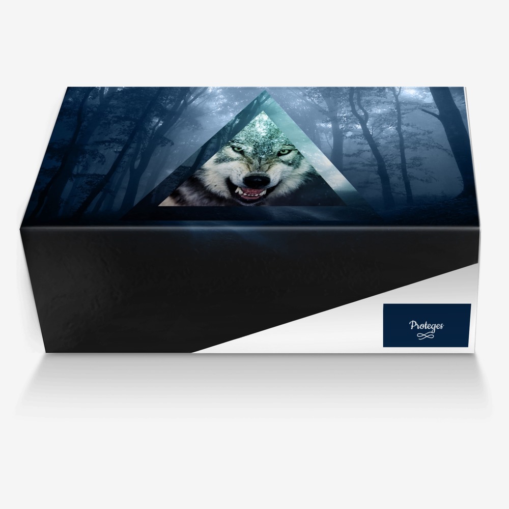 Proteges custom made in Italy shoes by Acquian Nowells | Box view