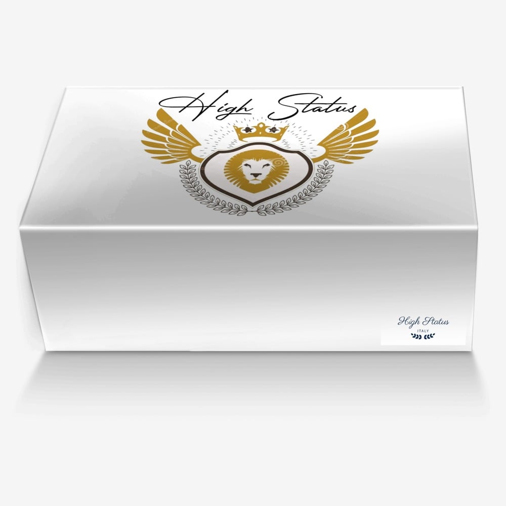 High Status custom made in Italy shoes by Ernest Ruffin | Box view