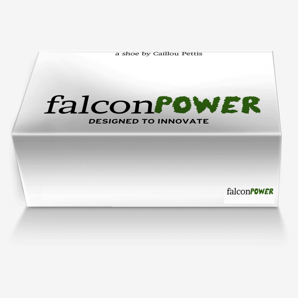 falconPOWER custom made in Italy shoes by Caillou Pettis | Box view