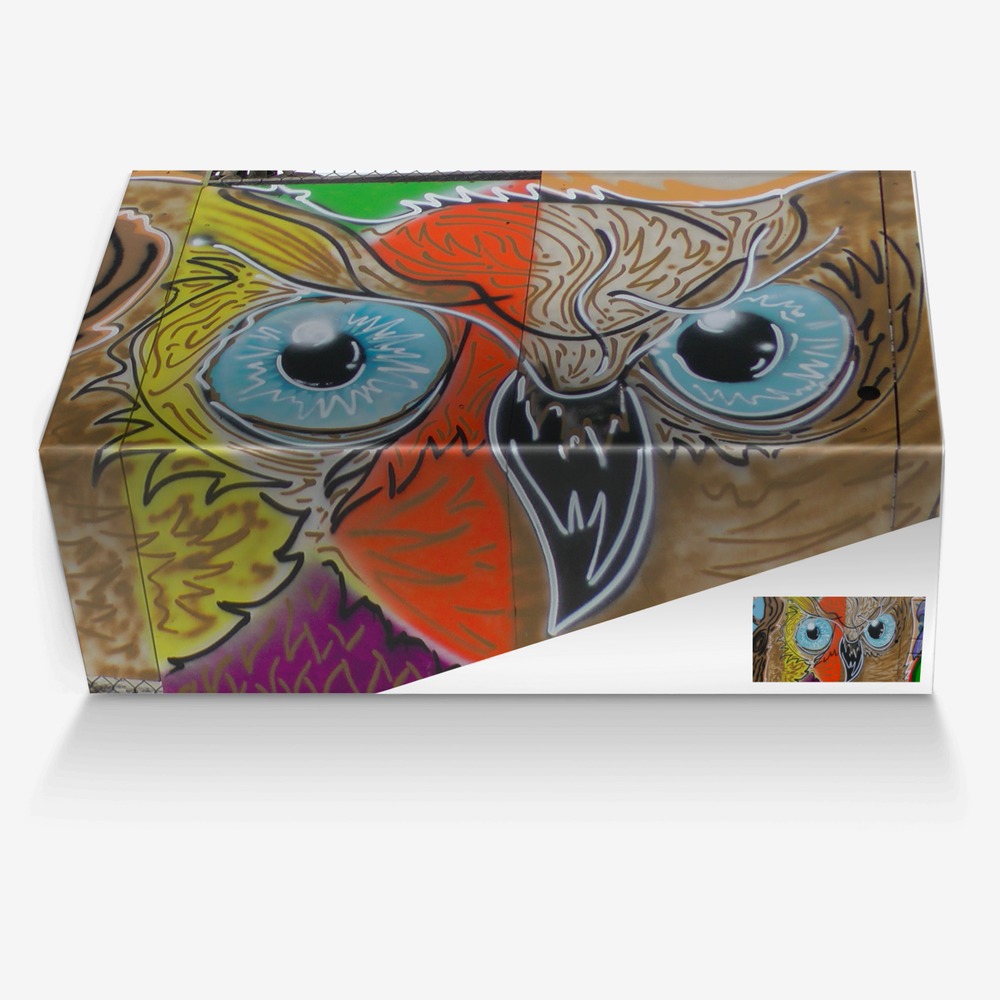 Owl custom made in Italy shoes by Travis Burns | Box view