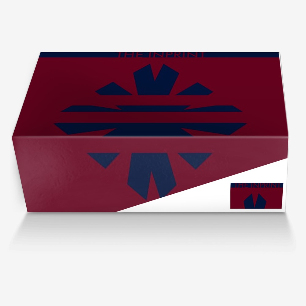 TP custom made in Italy shoes by Christopher Herron | Box view