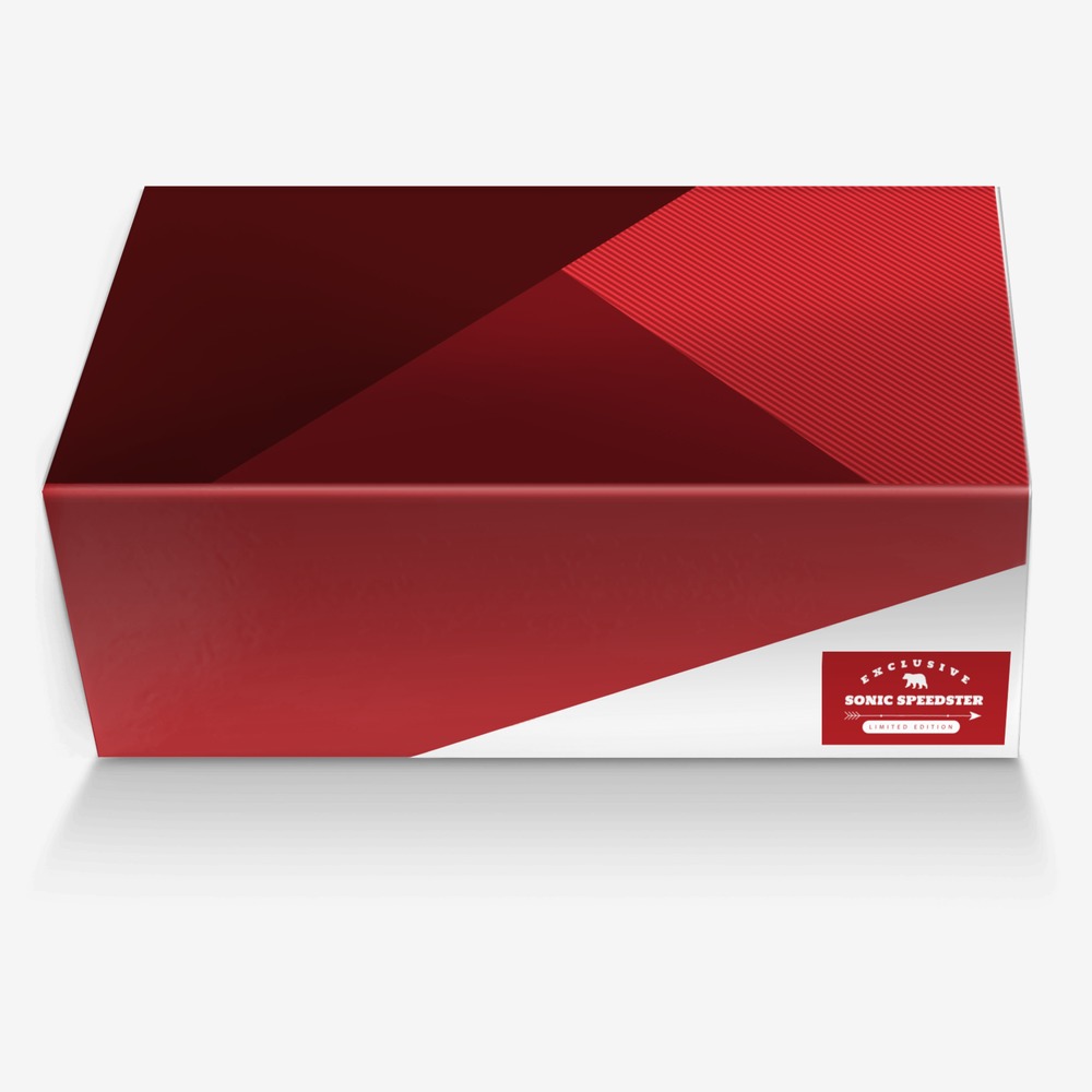 Sonic Speedster custom made in Italy shoes by Tina Gaddis | Box view