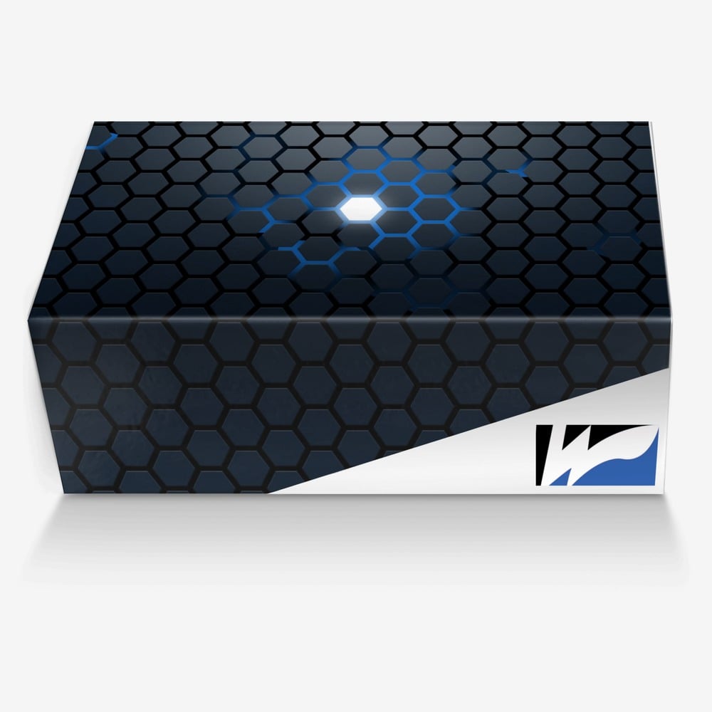 Omega Low-Top custom made in Italy shoes by Prowings Apparel | Box view