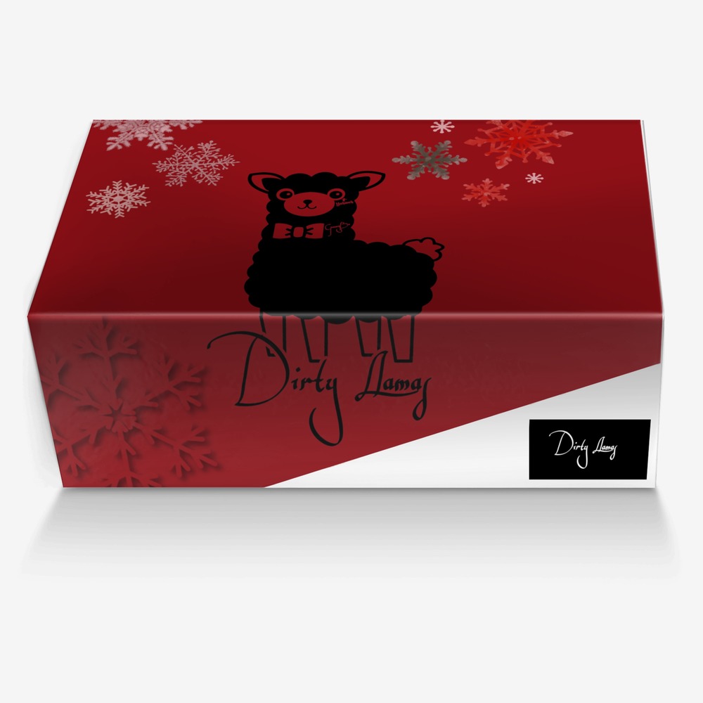 Dirty Llamas custom made in Italy shoes by Bert Melton | Box view
