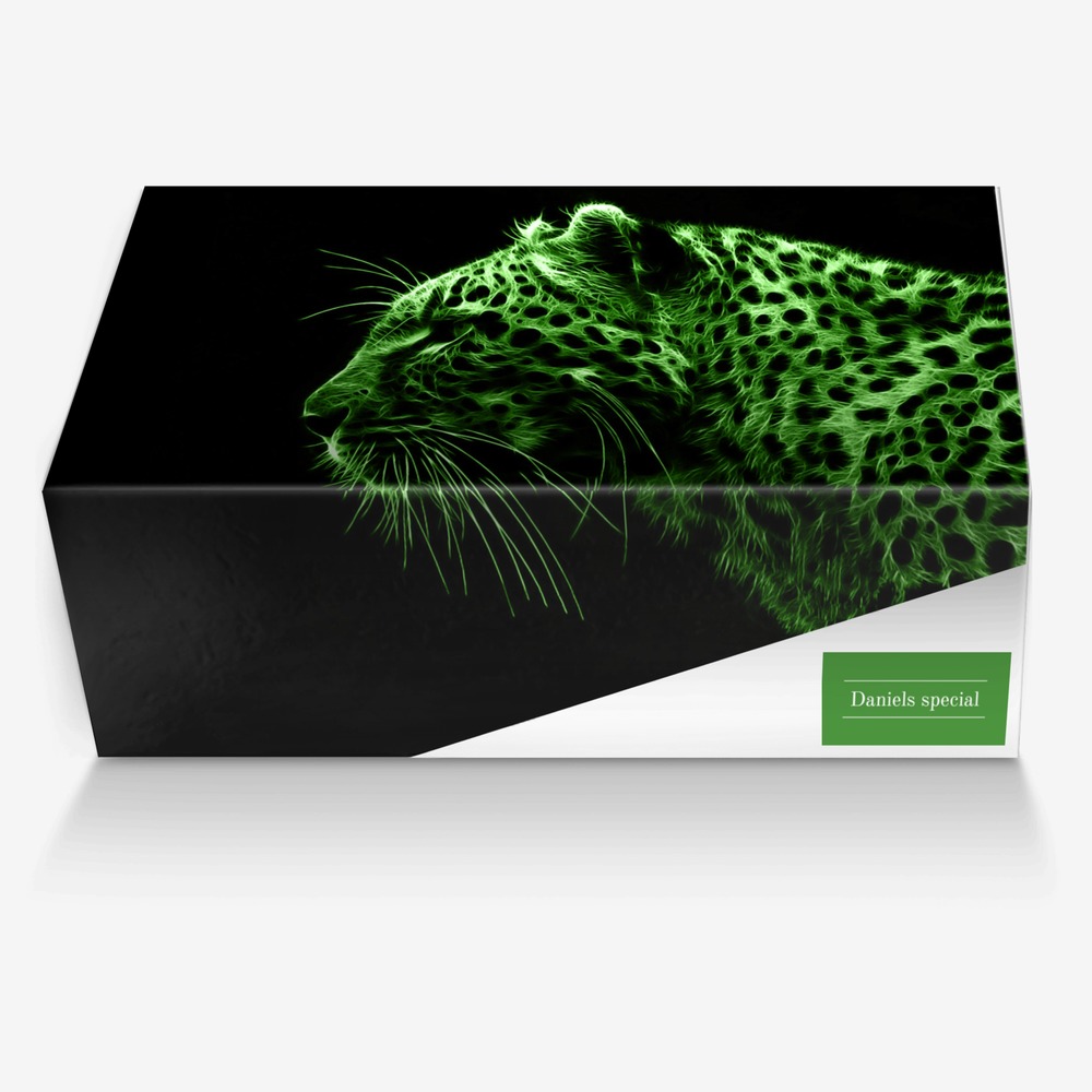 Daniels special custom made in Italy shoes by Maks Petrič | Box view