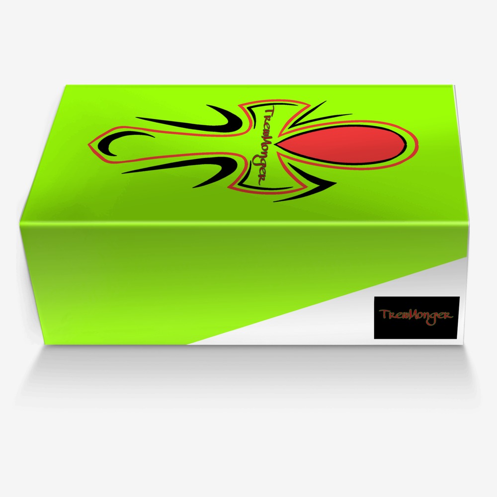 RBG2 custom made in Italy shoes by TrewMonger Brand | Box view