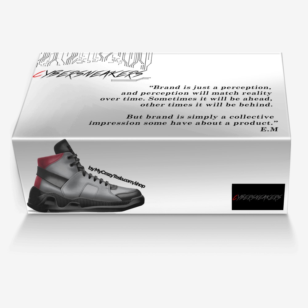 CYBERSNEAKERS custom made in Italy shoes by Guillaume Stevanovic | Box view