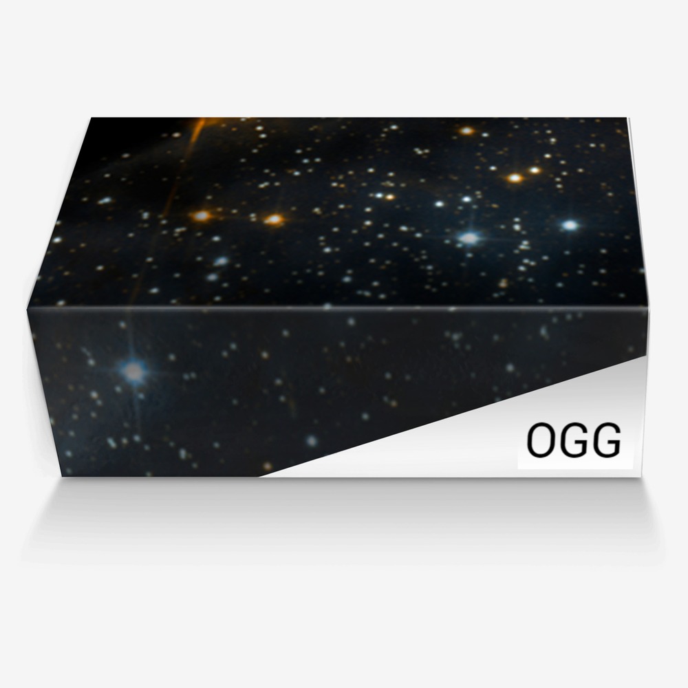 OGG custom made in Italy shoes by Steven & Jamiel | Box view