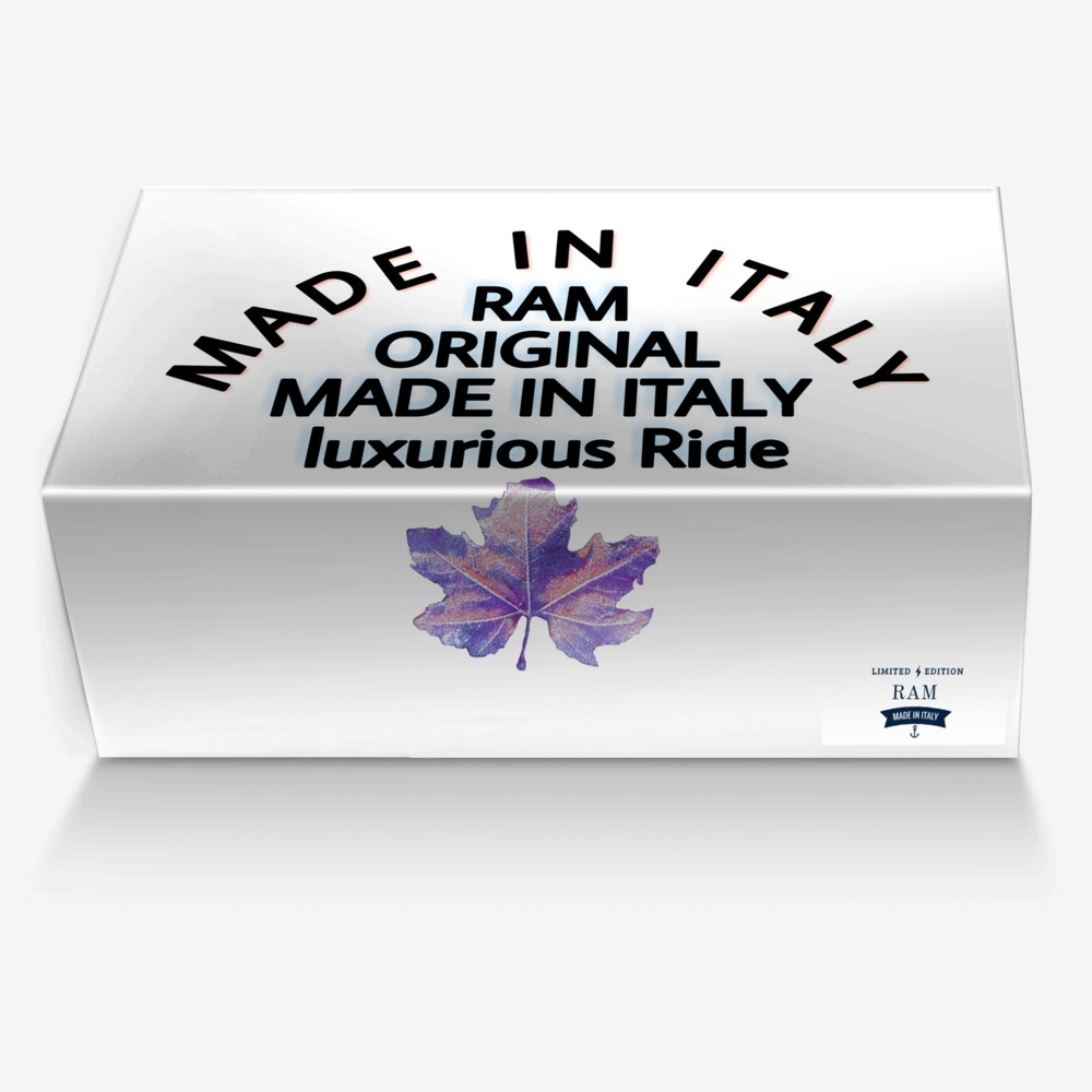 RAM custom made in Italy shoes by Rishab | Box view