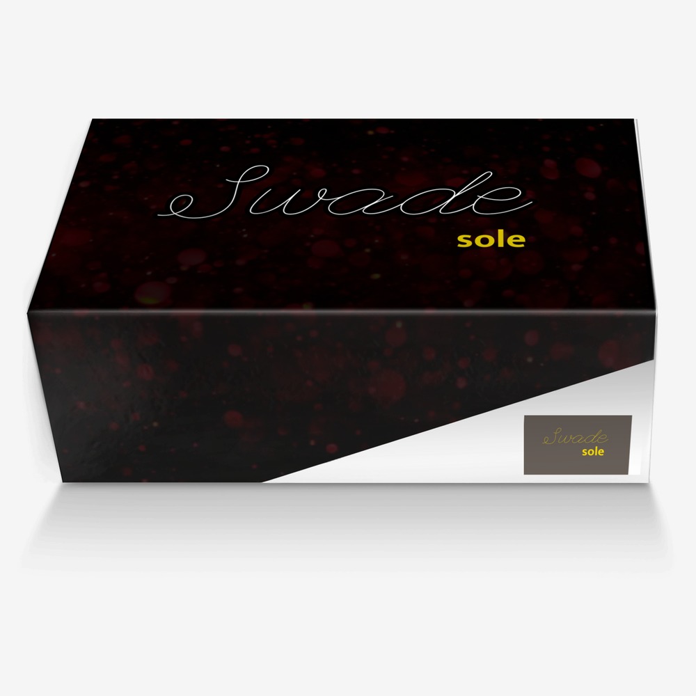 Swade Sole custom made in Italy shoes by Swade Soul | Box view