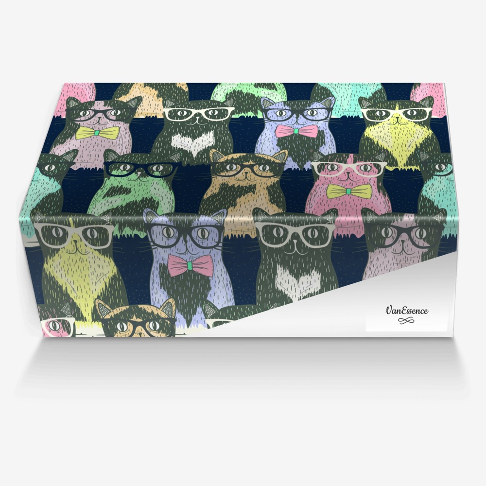 VanEssence custom made in Italy shoes by Vanessa Madl | Box view