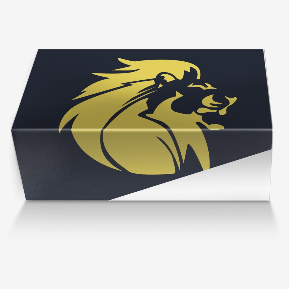 Hera custom made in Italy shoes by Ahmed F M Hamdan | Box view