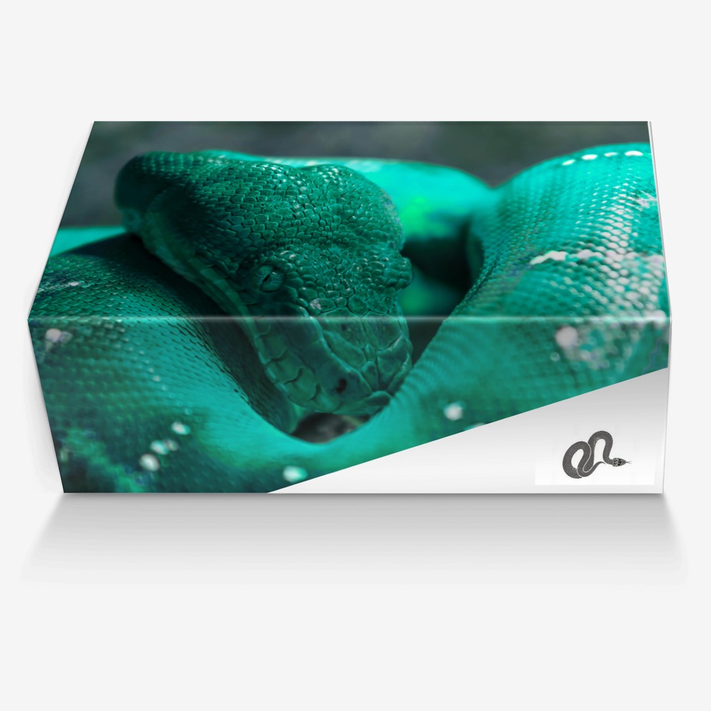 DSG custom made in Italy shoes by Damla Gökgöz | Box view