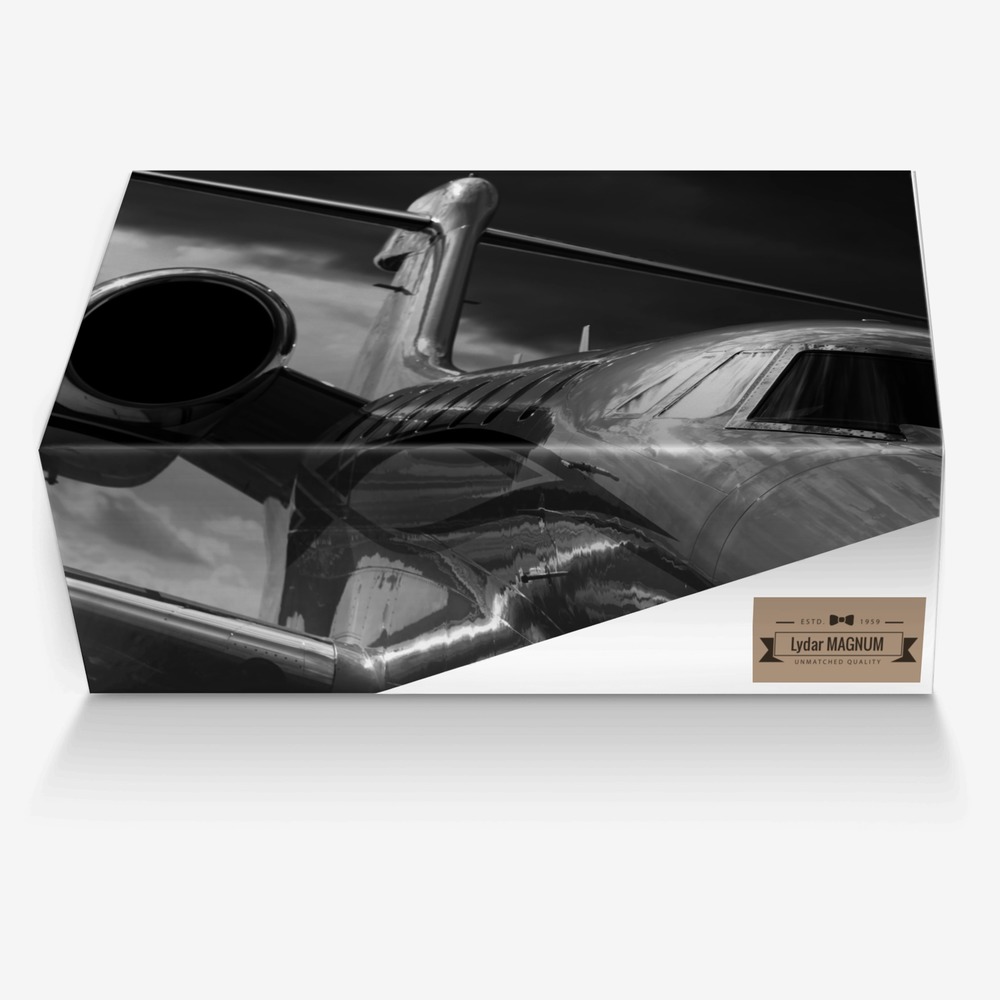 Lydar MAGNUM custom made in Italy shoes by Luke Peterson | Box view