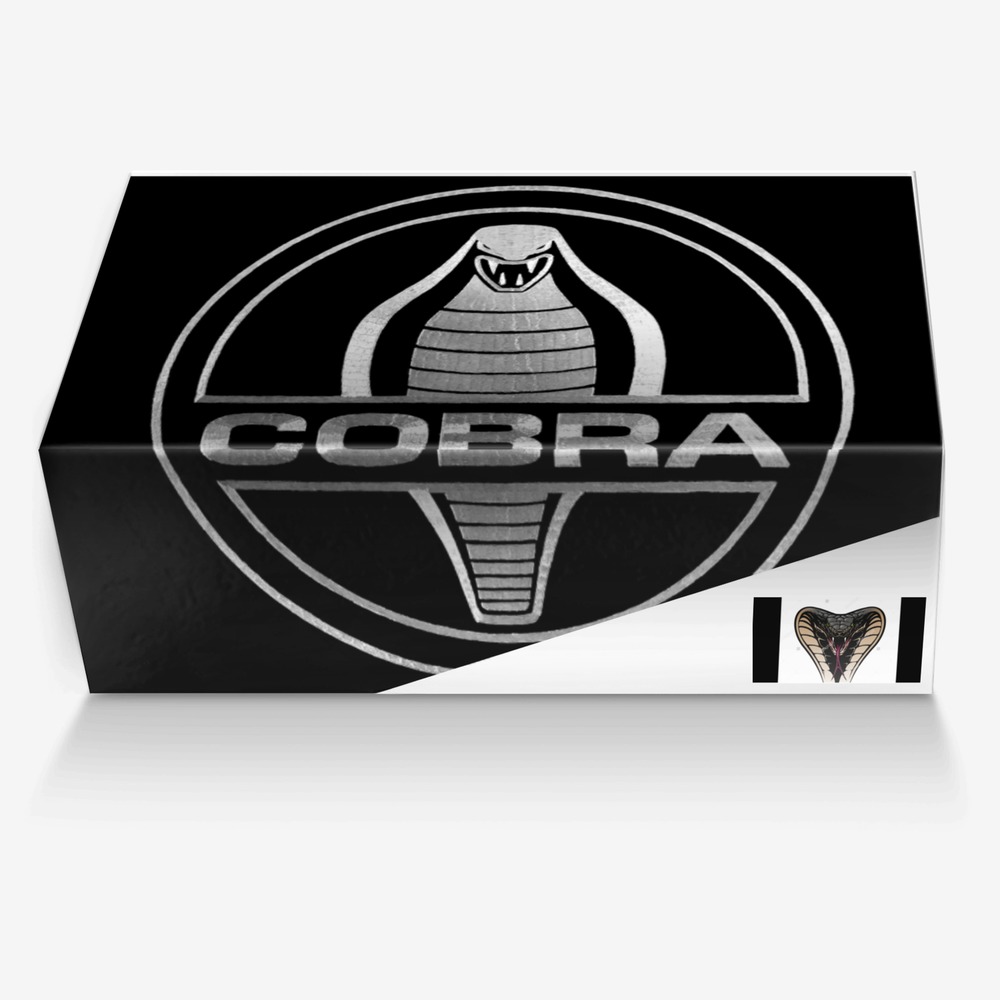 Cobra custom made in Italy shoes by Bresson Bress | Box view