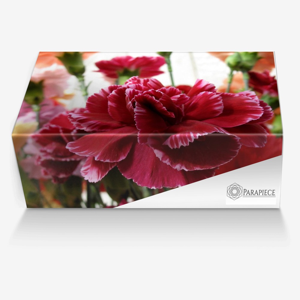 Carnation custom made in Italy shoes by Cathyrose Odoh | Box view