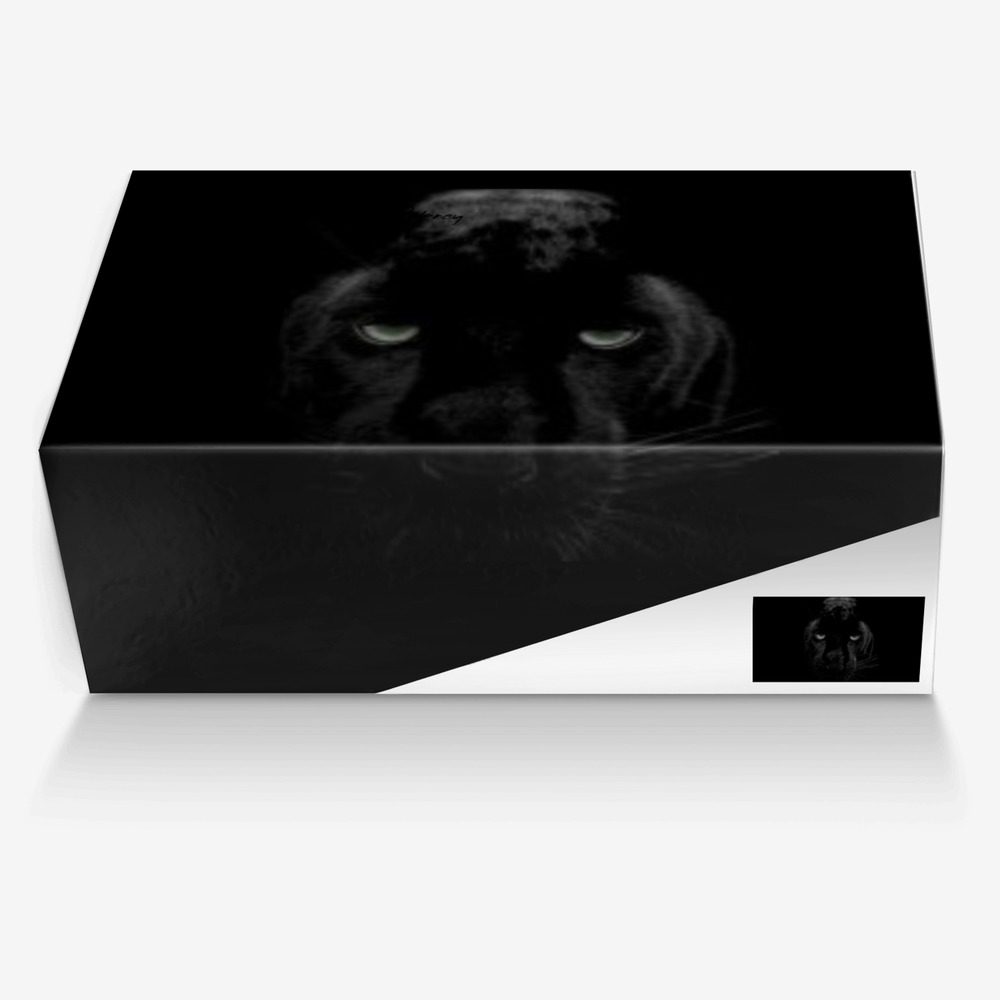 Mr. 2 Smooth custom made in Italy shoes by Jasmine Delaney | Box view