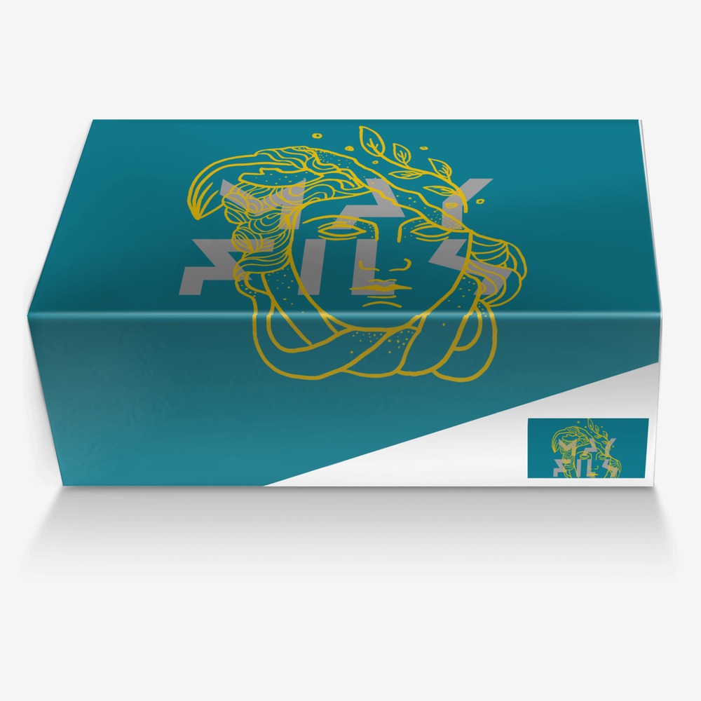 Silver rose custom made in Italy shoes by May Fils | Box view