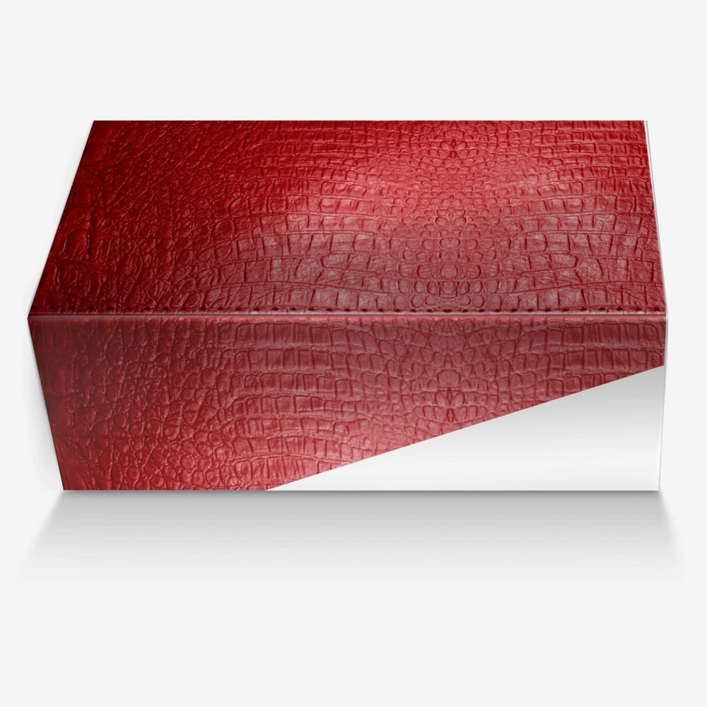 Vegas Brand custom made in Italy shoes by April Robinson | Box view