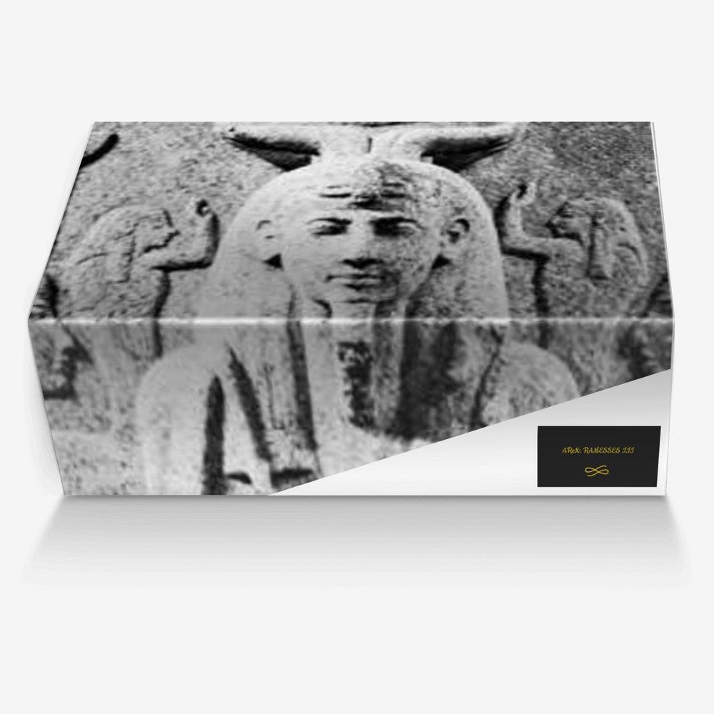 AReX: RAMESSES III custom made in Italy shoes by Ëűženphõric Êlíxïř | Box view
