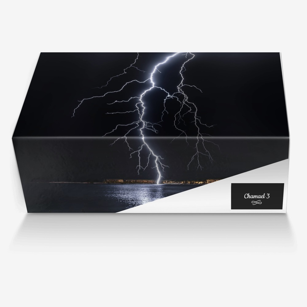 Chamael 3 custom made in Italy shoes by Tony V.harris | Box view
