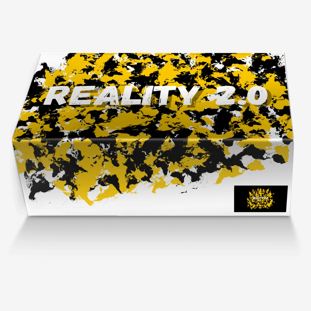 Reality 2.0 custom made in Italy shoes by Constantino Pistou | Box view