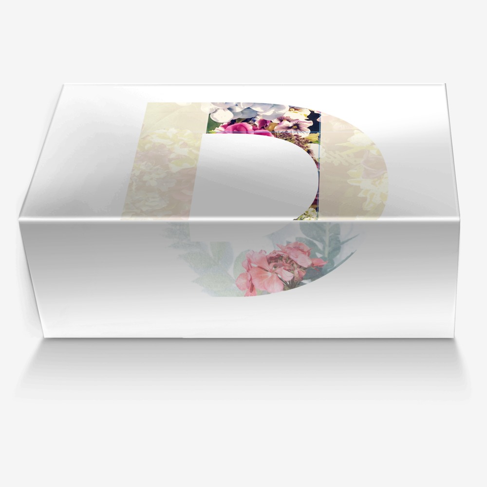 Milan Piero II custom made in Italy shoes by Di Ser Piero | Box view