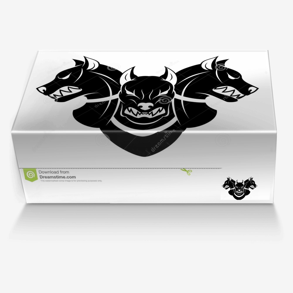 Cerberus custom made in Italy shoes by Ezekiel J Brown | Box view