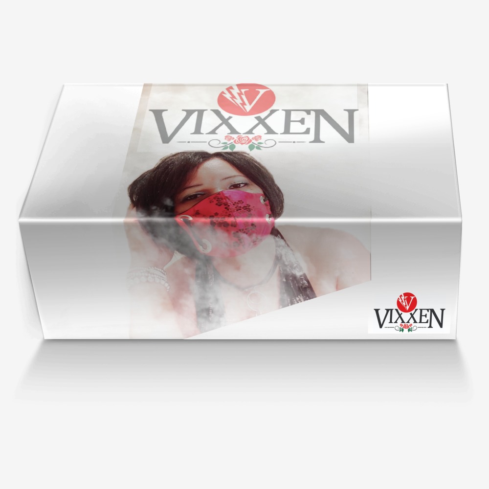 A Vixxen custom made in Italy shoes by April Via | Box view