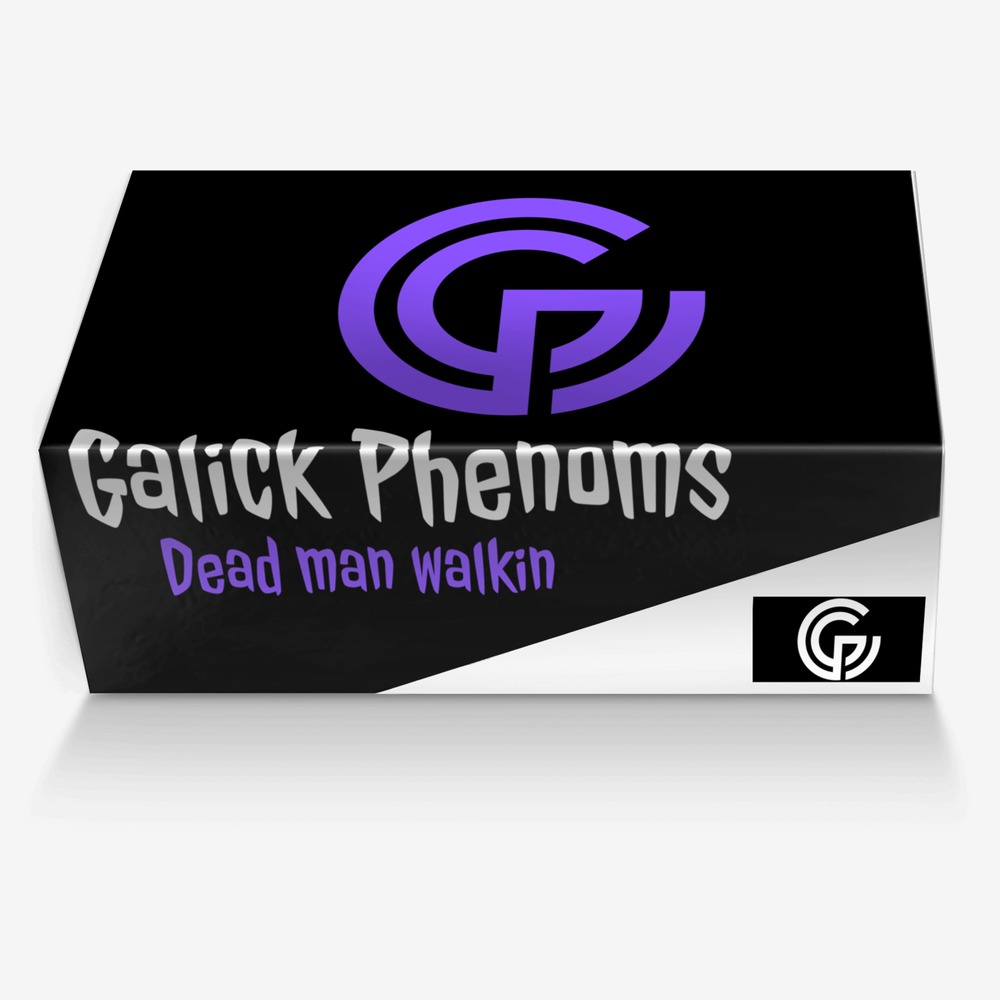Galick Phenoms custom made in Italy shoes by Jesse Davis | Box view