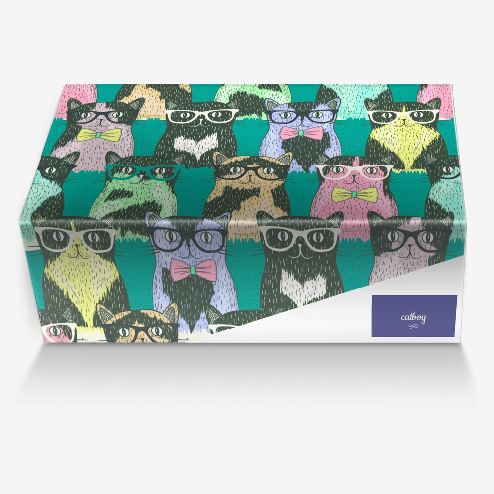 catboy custom made in Italy shoes by Mackenzie Phillips | Box view