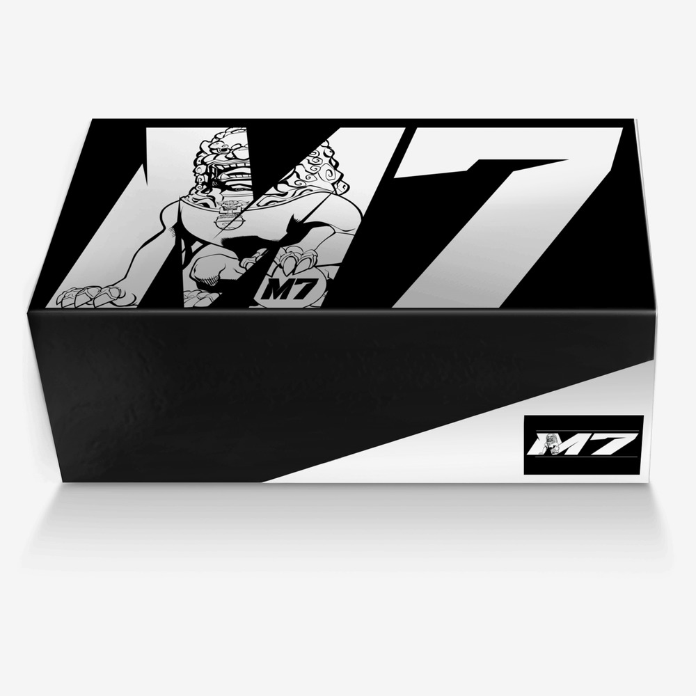 Magnificent 7 custom made in Italy shoes by Eddie Silva | Box view