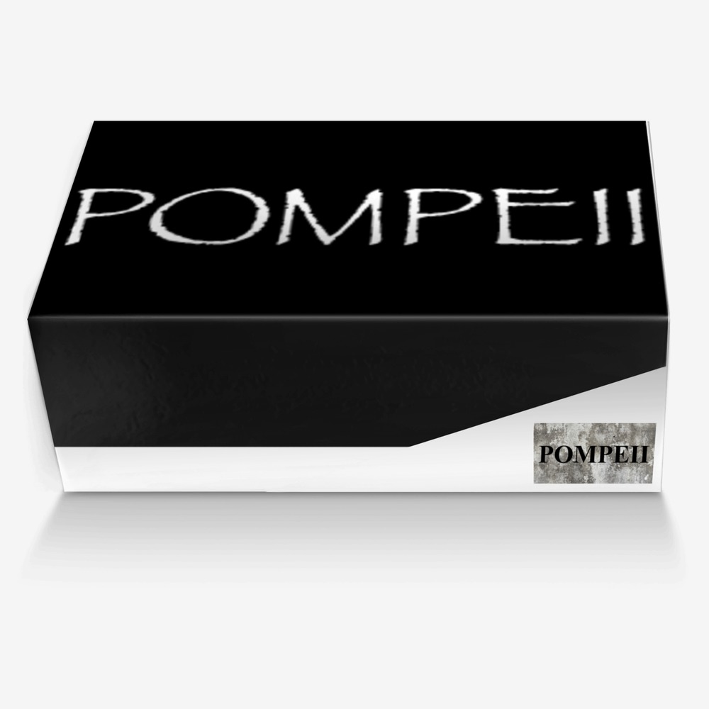 POMPEII custom made in Italy shoes by Page The Great | Box view