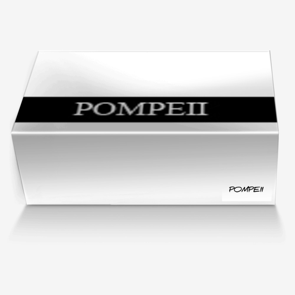 POMPEII custom made in Italy shoes by Page The Great | Box view
