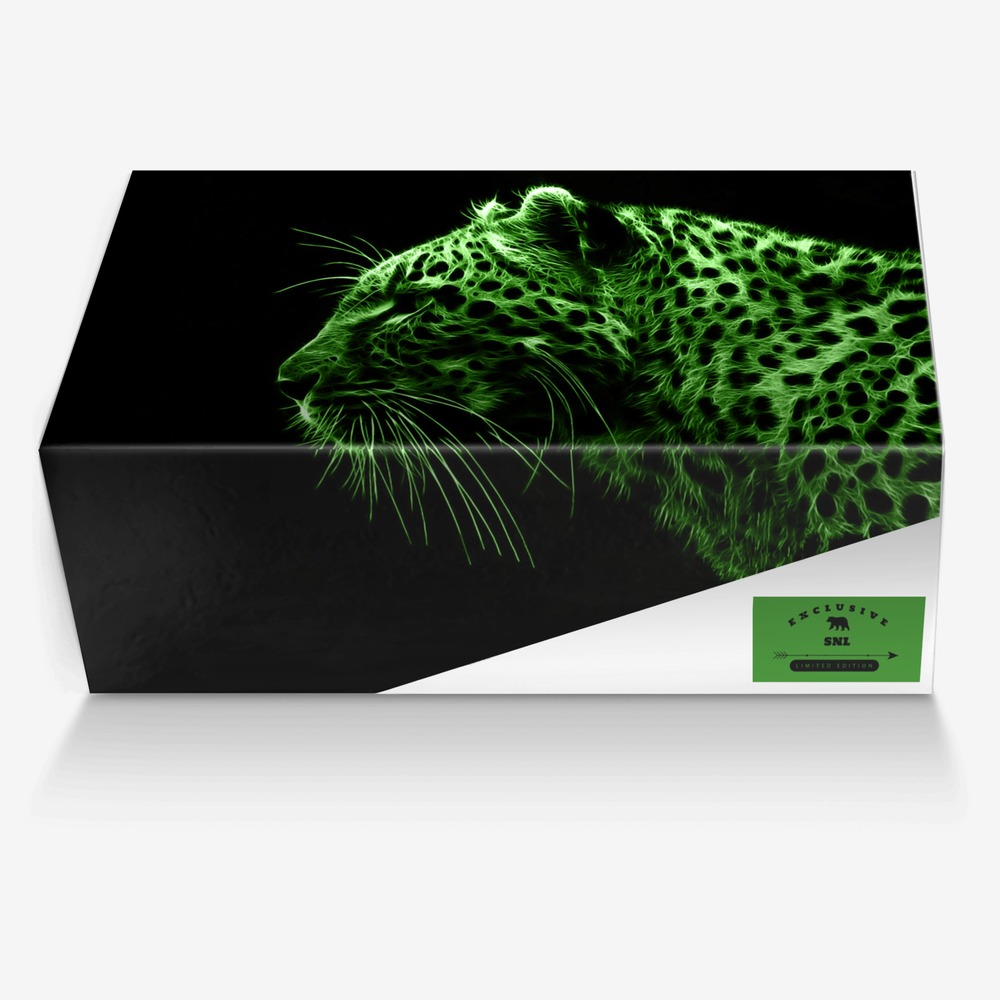 SNL custom made in Italy shoes by Turkessa Mais | Box view