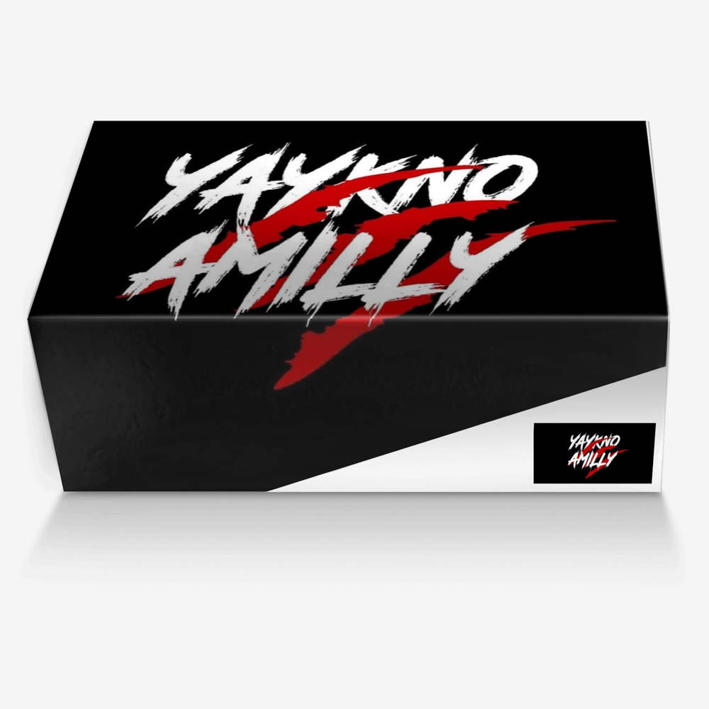 Yaykno Amilly XV  custom made in Italy shoes by Yaykno Amilly | Box view