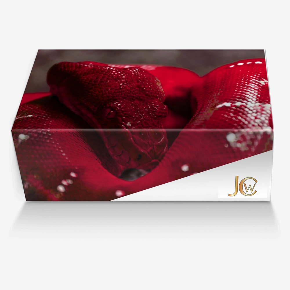 Le' Gantz custom made in Italy shoes by John Wallace | Box view