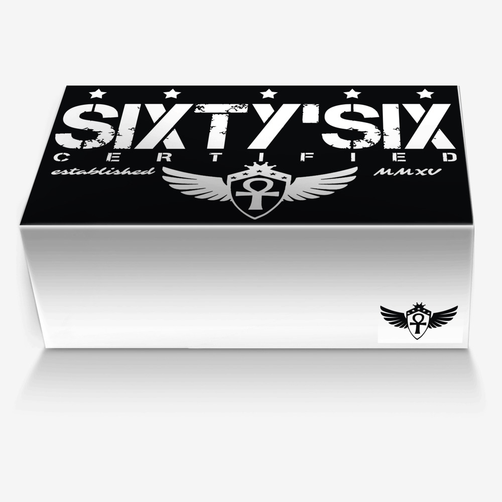 SixtySix custom made in Italy shoes by Michael Jones | Box view
