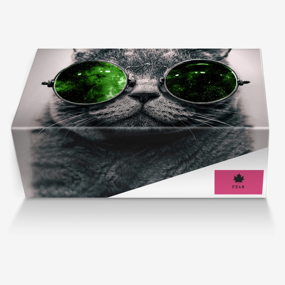 F E 4 R custom made in Italy shoes by Kyle Roder | Box view