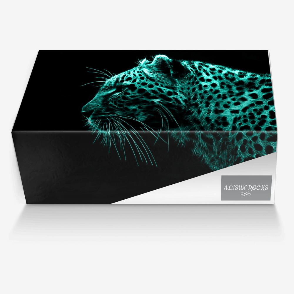 REBELATION custom made in Italy shoes by Alisun Rocks | Box view