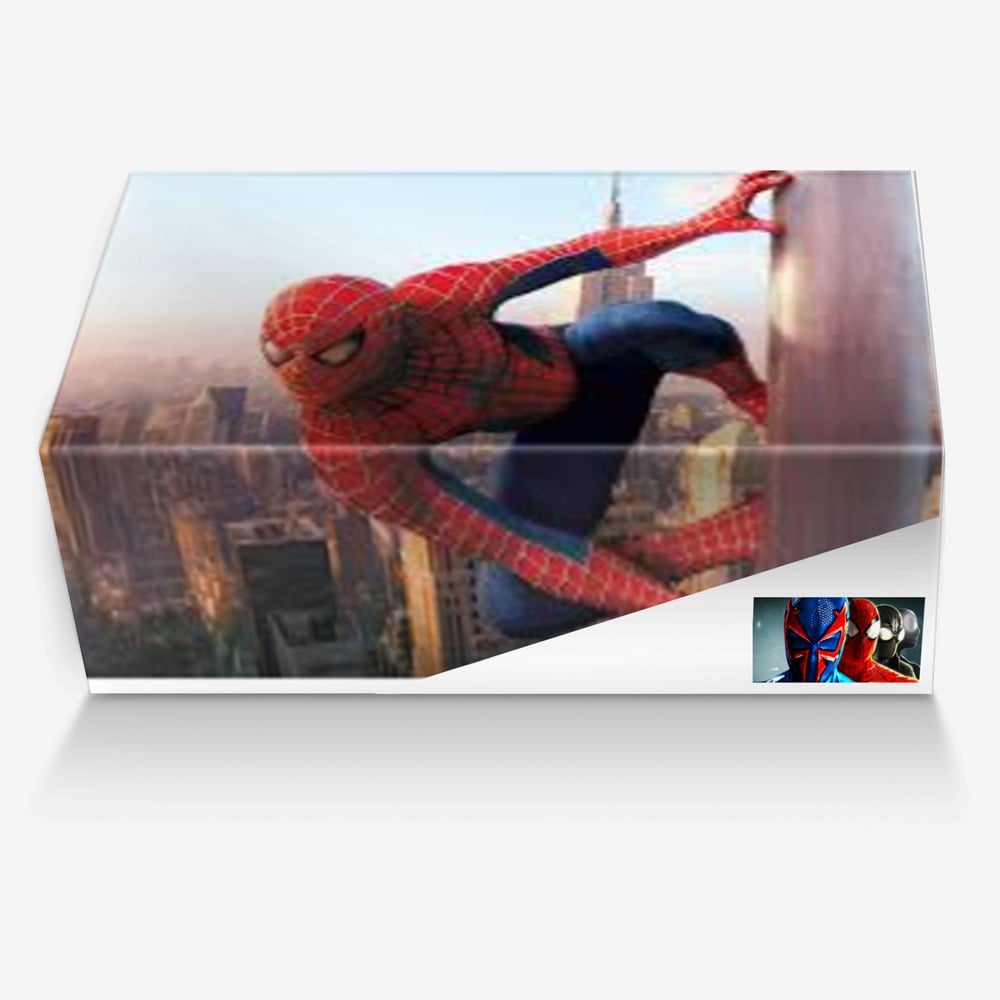 Spider- Man custom made in Italy shoes by Silas Garrison | Box view