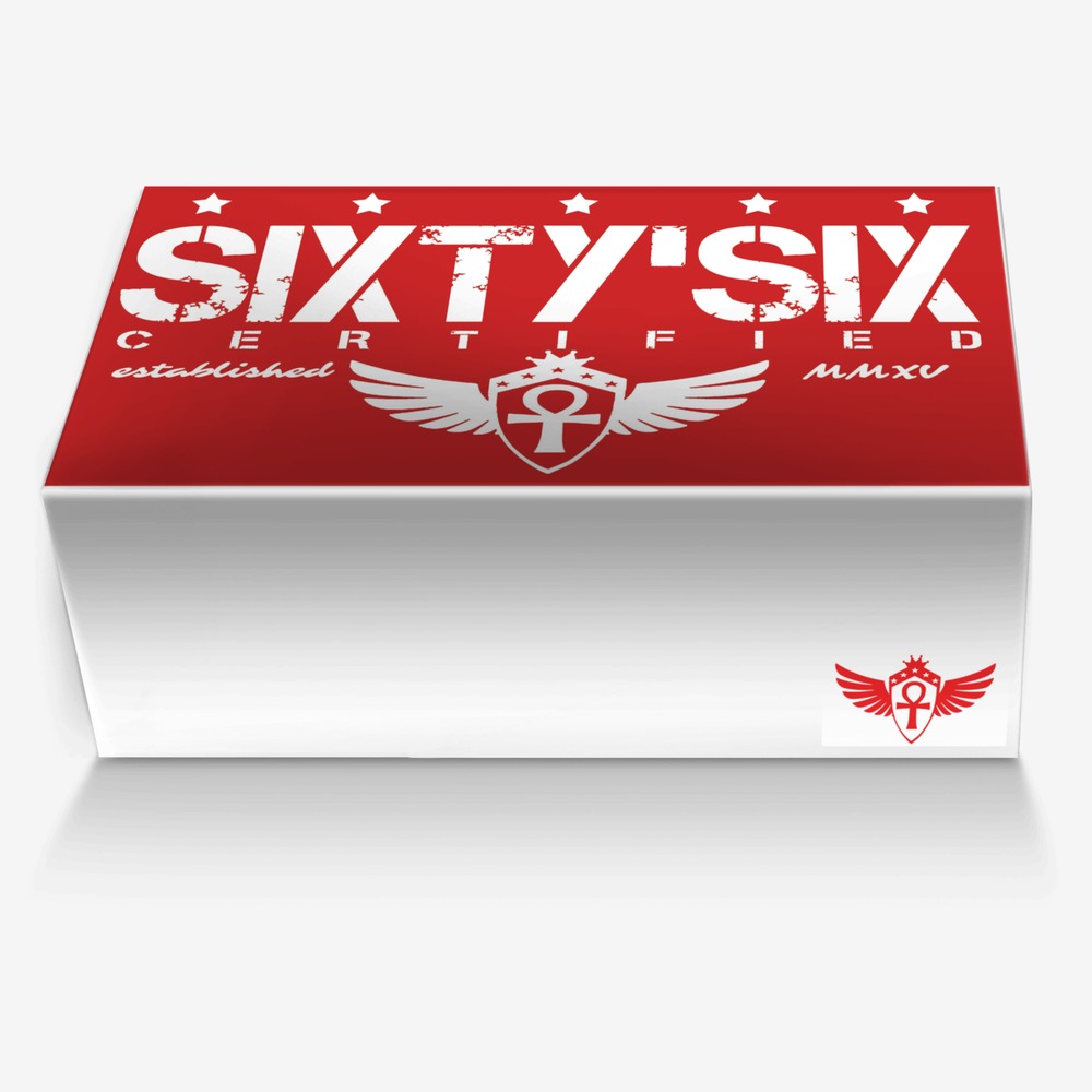 SS-J4 custom made in Italy shoes by Michael Jones | Box view