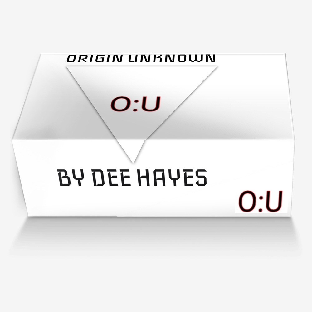 OU custom made in Italy shoes by Donald Hayes | Box view