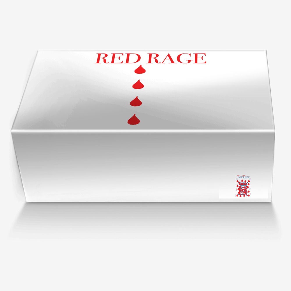 RED RAGE custom made in Italy shoes by T.michelle Roberts | Box view