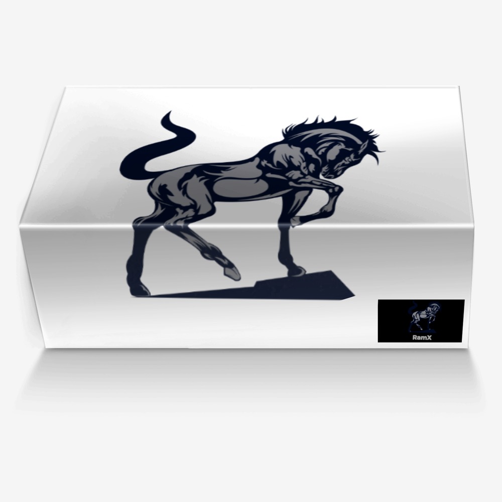 RamX custom made in Italy shoes by Tumiso Chidi | Box view